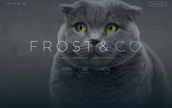 FROST & CO — Clarity. Precision. Impermanence.