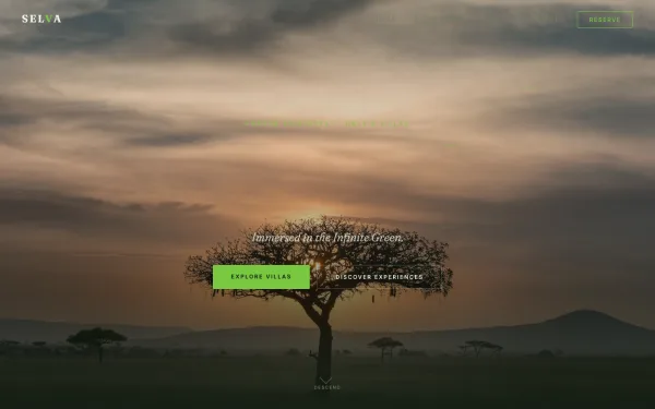 SELVA — Immersed in the Infinite Green