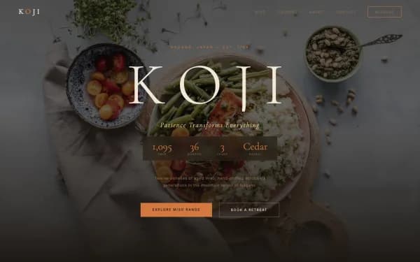 KOJI — Patience Transforms Everything