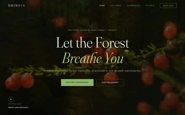 SHINRIN — Let the Forest Breathe You