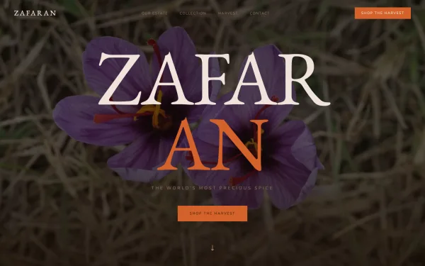 ZAFARAN — The World's Most Precious Spice