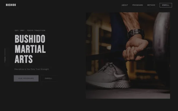 Bushido Martial Arts School — Discipline is the Only True Strength