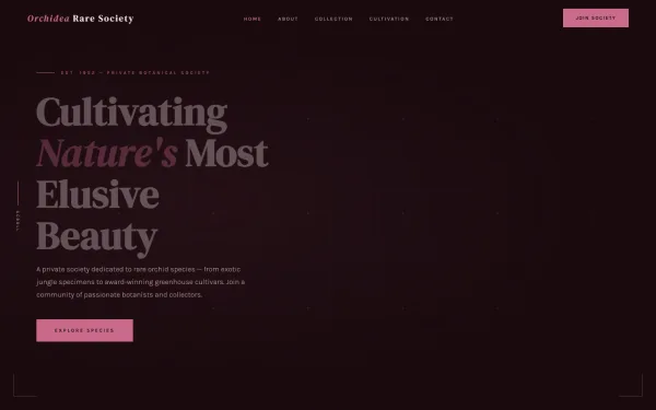 Orchidea Rare Society — Cultivating Nature's Most Elusive Beauty