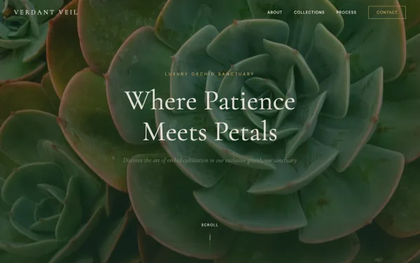 Verdant Veil — Where Patience Meets Petals