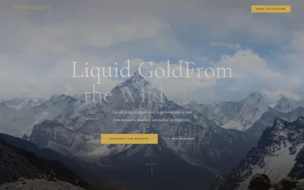 Aurea Mellis — Liquid Gold From the Wild Hive