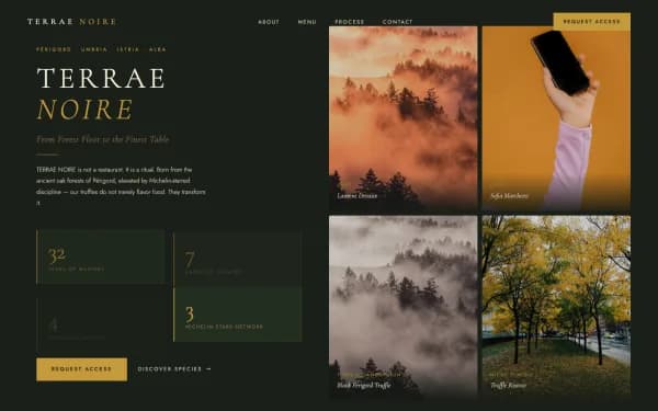 TERRAE NOIRE — From Forest Floor to the Finest Table